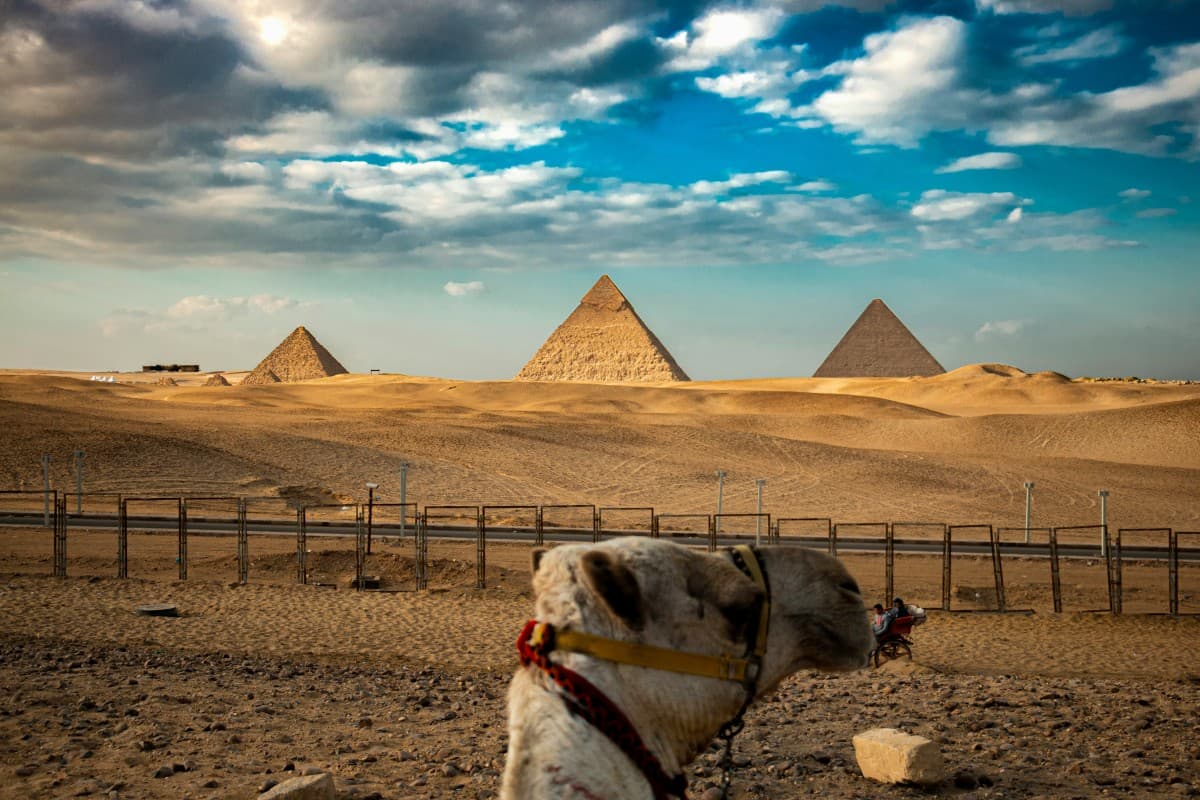 Private tour guide showing ancient artifacts to delighted travelers