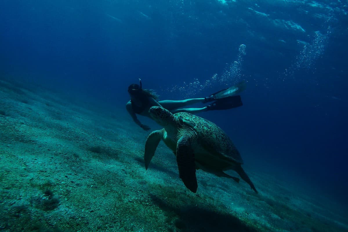 Diving Trips in Egypt