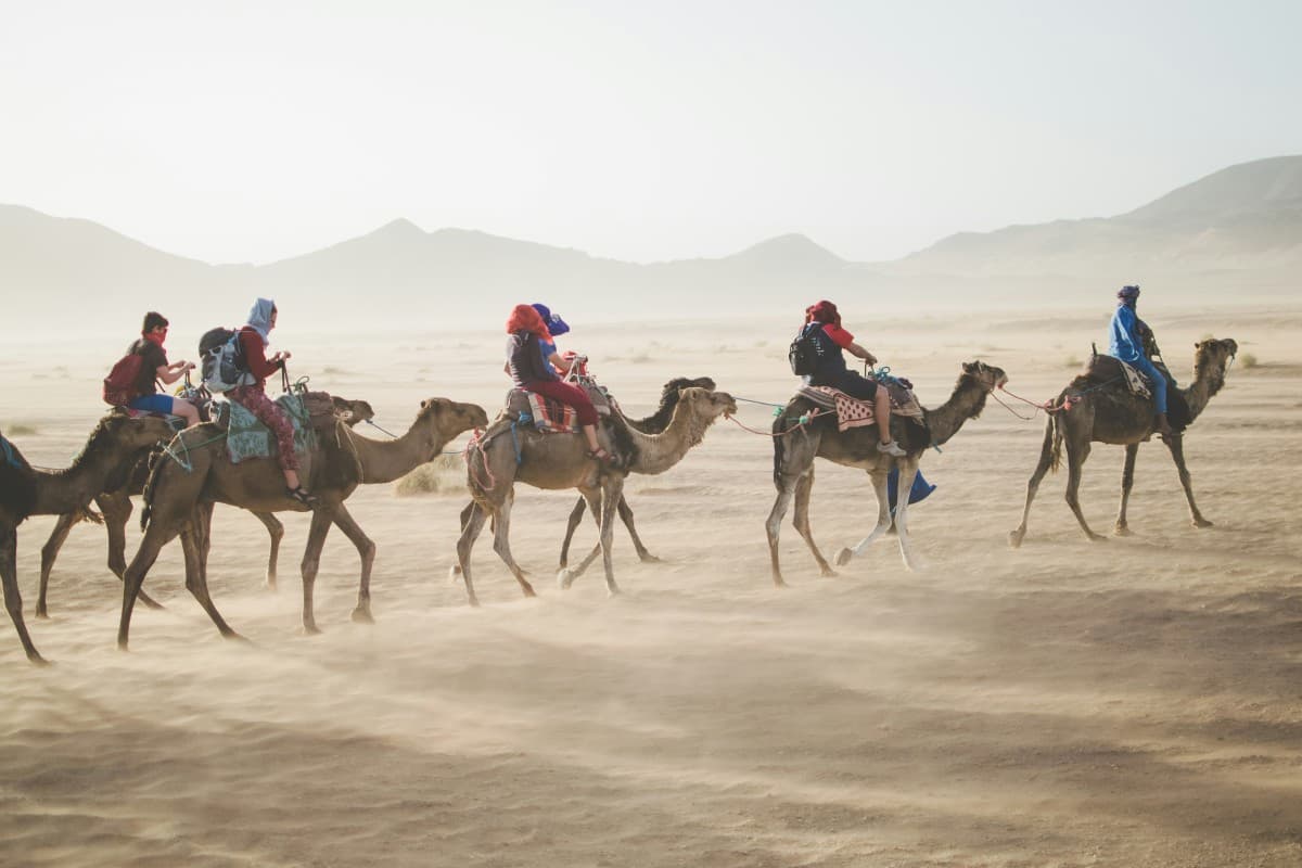 Desert Safaris in Egypt